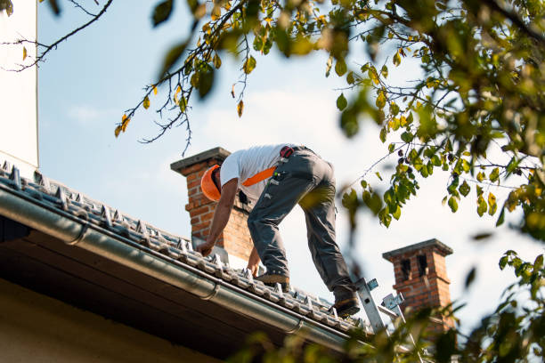 Best Roof Gutter Cleaning  in Virginia, MN