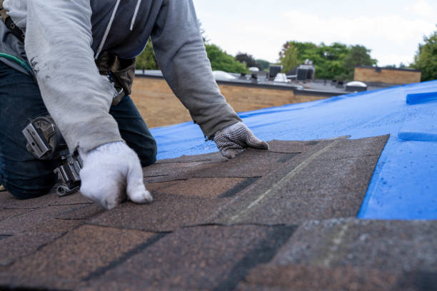 Best Roof Gutter Cleaning  in Virginia, MN