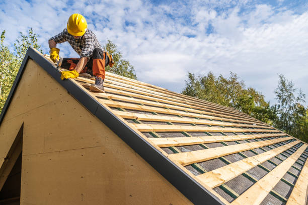 Best Roof Waterproofing Services  in Virginia, MN