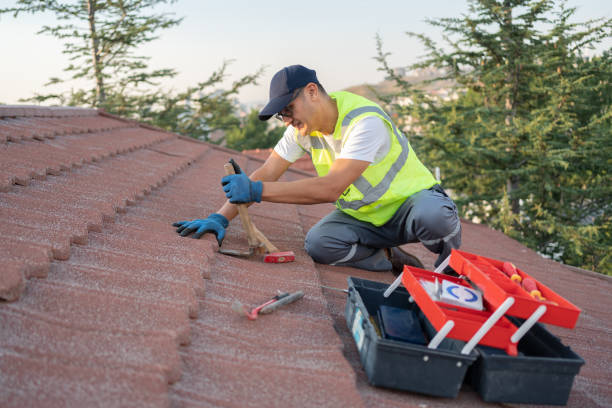 Best Roof Leak Repair  in Virginia, MN