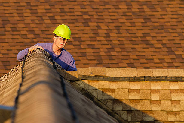 Best Roof Maintenance Services  in Virginia, MN